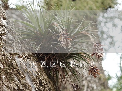芙蓉区应收债务律师事务所 芙蓉区应收债务律师事务所