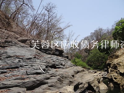 芙蓉区应收债务律师咨询费