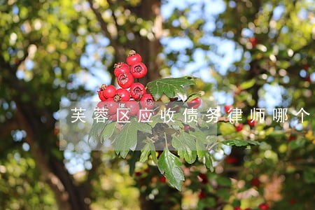 芙蓉区应收债务律师哪个好