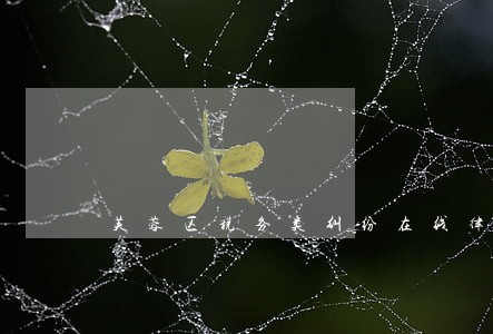 芙蓉区税务类纠纷在线律师 芙蓉区税务类纠纷在线律师