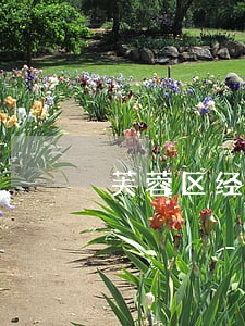 芙蓉区经济债务纠纷律师团队 芙蓉区经济债务纠纷律师团队