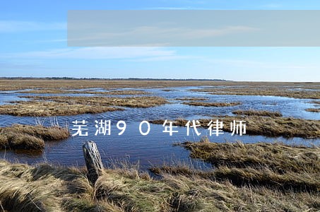 芜湖90年代律师 芜湖90年代律师