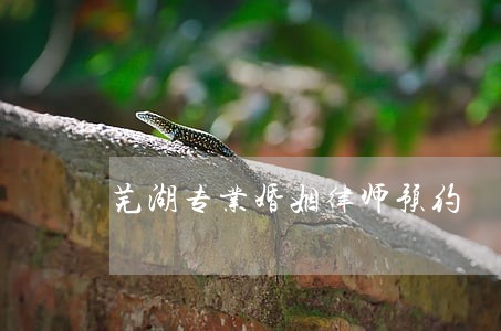 芜湖专业婚姻律师预约 芜湖专业婚姻律师预约