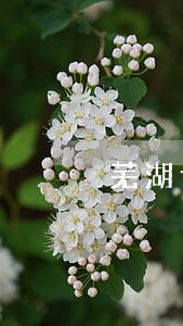 芜湖专业装饰装修纠纷律师 芜湖专业装饰装修纠纷律师