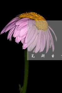 芜湖专业追账律师费用 芜湖专业追账律师费用