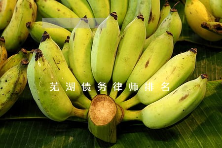 芜湖债务律师排名 芜湖债务律师排名