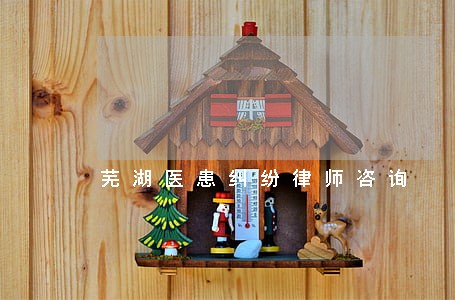 芜湖医患纠纷律师咨询 芜湖医患纠纷律师咨询