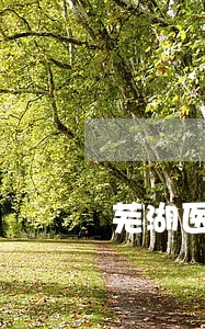 芜湖医疗律师推荐 芜湖医疗律师推荐