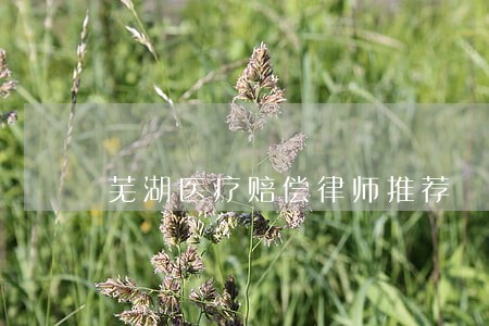 芜湖医疗赔偿律师推荐 芜湖医疗赔偿律师推荐