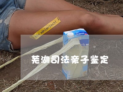 芜湖司法亲子鉴定