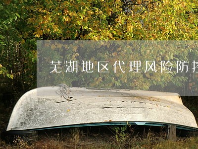 芜湖地区代理风险防控律师 芜湖地区代理风险防控律师