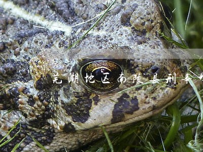 芜湖地区南陵县刑事辩护律师 芜湖地区南陵县刑事辩护律师