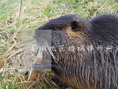 芜湖地区婚姻律师网站 芜湖地区婚姻律师网站