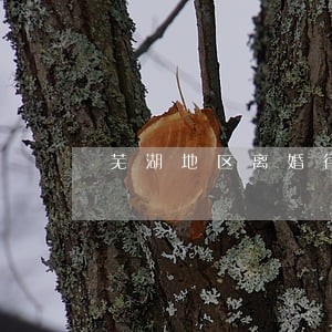 芜湖地区离婚律师哪里找 芜湖地区离婚律师哪里找