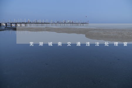 芜湖城南交通违法处理窗口 芜湖城南交通违法处理窗口