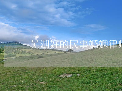 芜湖好的民事婚姻律师 芜湖好的民事婚姻律师