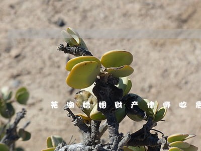 芜湖婚姻财产律师收费 芜湖婚姻财产律师收费