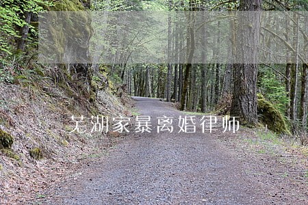 芜湖家暴离婚律师 芜湖家暴离婚律师