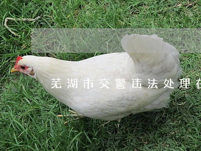 芜湖市交警违法处理在哪