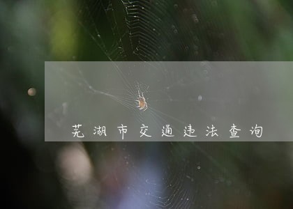 芜湖市交通违法查询 芜湖市交通违法查询