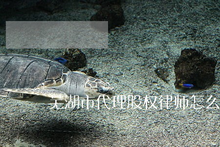 芜湖市代理股权律师怎么委托