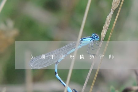 芜湖市债权债务律师 芜湖市债权债务律师