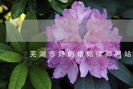 芜湖市好的婚姻律师网站 芜湖市好的婚姻律师网站