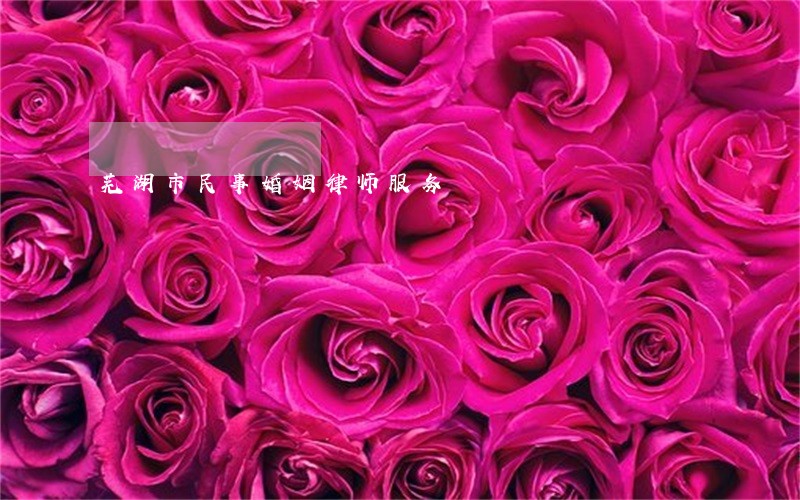 芜湖市民事婚姻律师服务 芜湖市民事婚姻律师服务