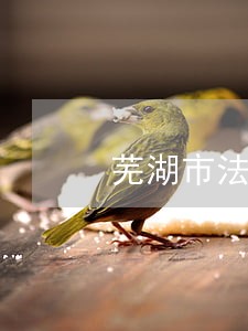 芜湖市法律援助服务热线 芜湖市法律援助服务热线