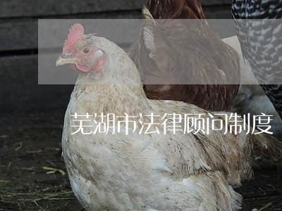 芜湖市法律顾问制度 芜湖市法律顾问制度