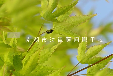 芜湖市法律顾问哪里找 芜湖市法律顾问哪里找