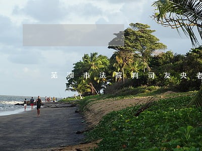 芜湖市法院判司友央老赖 芜湖市法院判司友央老赖