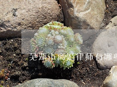 芜湖市离婚律师有哪些 芜湖市离婚律师有哪些