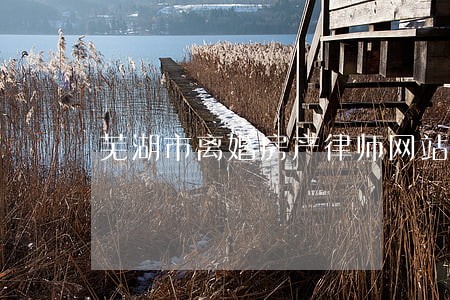 芜湖市离婚房产律师网站 芜湖市离婚房产律师网站