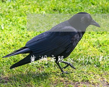 芜湖市股权纠纷律师哪个比较好 芜湖市股权纠纷律师哪个比较好