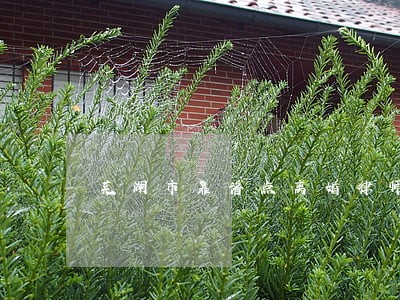 芜湖市靠谱点离婚律师 芜湖市靠谱点离婚律师