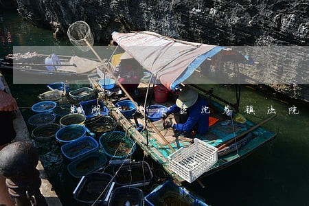 芜湖市鸠江区沈巷镇法院电话