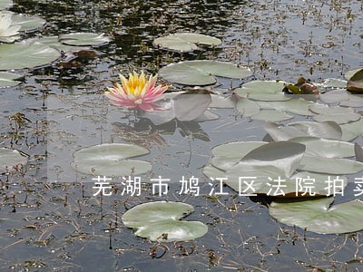 芜湖市鸠江区法院拍卖 芜湖市鸠江区法院拍卖