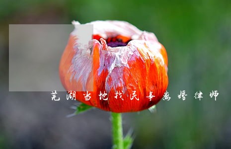芜湖当地找民事离婚律师 芜湖当地找民事离婚律师