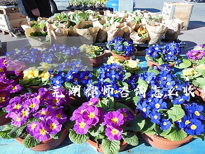 芜湖律师咨询怎么收费 芜湖律师咨询怎么收费