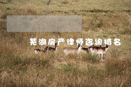芜湖房产律师咨询排名 芜湖房产律师咨询排名