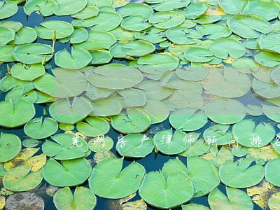 芜湖房产律师顾问排名 芜湖房产律师顾问排名