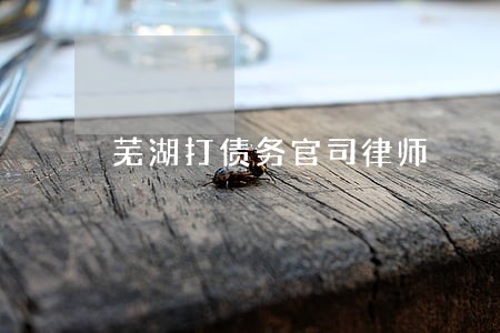 芜湖打债务官司律师 芜湖打债务官司律师