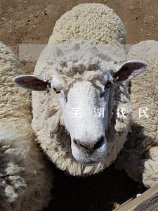 芜湖找民事婚姻律师价格 芜湖找民事婚姻律师价格