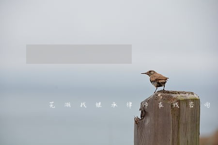 芜湖找继承律师在线咨询 芜湖找继承律师在线咨询