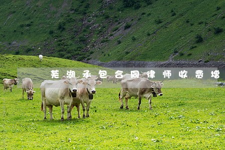 芜湖承包合同律师收费增创效益 芜湖承包合同律师收费增创效益