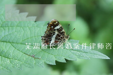 芜湖擅长离婚案件律师咨询电话 芜湖擅长离婚案件律师咨询电话