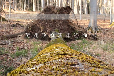 芜湖政府法律咨询 芜湖政府法律咨询