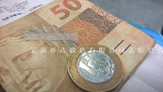 芜湖新达锻造有限公司法院公告