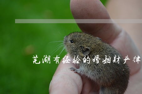 芜湖有经验的婚姻财产律师服务 芜湖有经验的婚姻财产律师服务